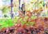 Tareas de otoño en el parque del Retiro Tareas de otoño en el parque del Retiro