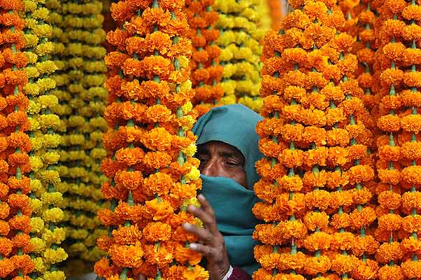 151206 Mercado de flores en India