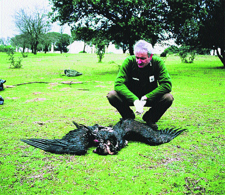 EMPLEO MEDIO AMBIENTE ZAMORA 2007 empleo medio ambiente zamora 2007: