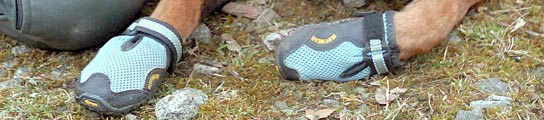 Zapatos para perros policía Zapatos para perros policía