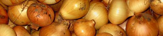Cebollas