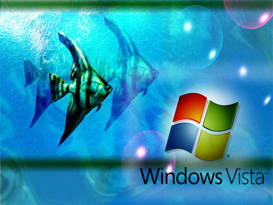 Mejor Rendimiento Windows Vista