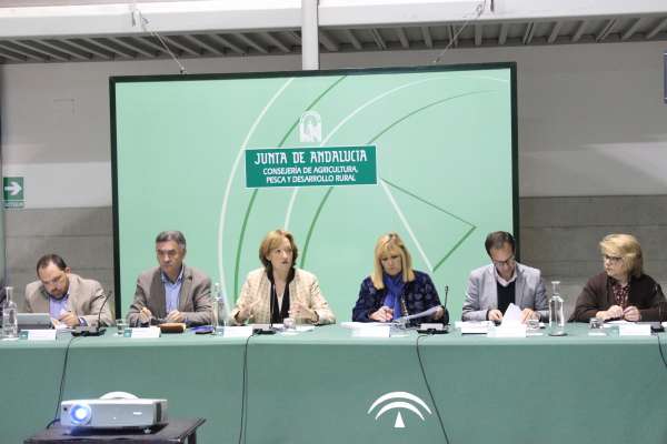 El Consejo Andaluz del Olivar asesorará a la Junta en la elaboración de las ayudas de apoyo para el sector