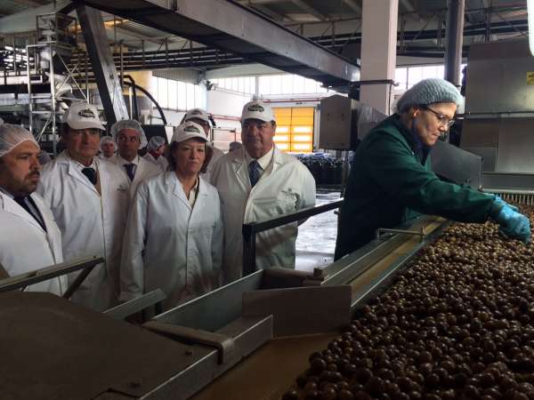 La Junta destaca la constante innovación de la aceituna de mesa, donde Andalucía es líder en exportación y producción