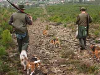Cazadores con sus armas y sus perros