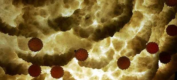 Éste es el aspecto que presenta el virus de VIH mirado desde un microscopio. Éste es el aspecto que presenta el virus de VIH mirado desde un microscopio.
