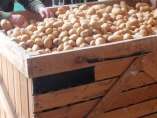Patatas Patatas