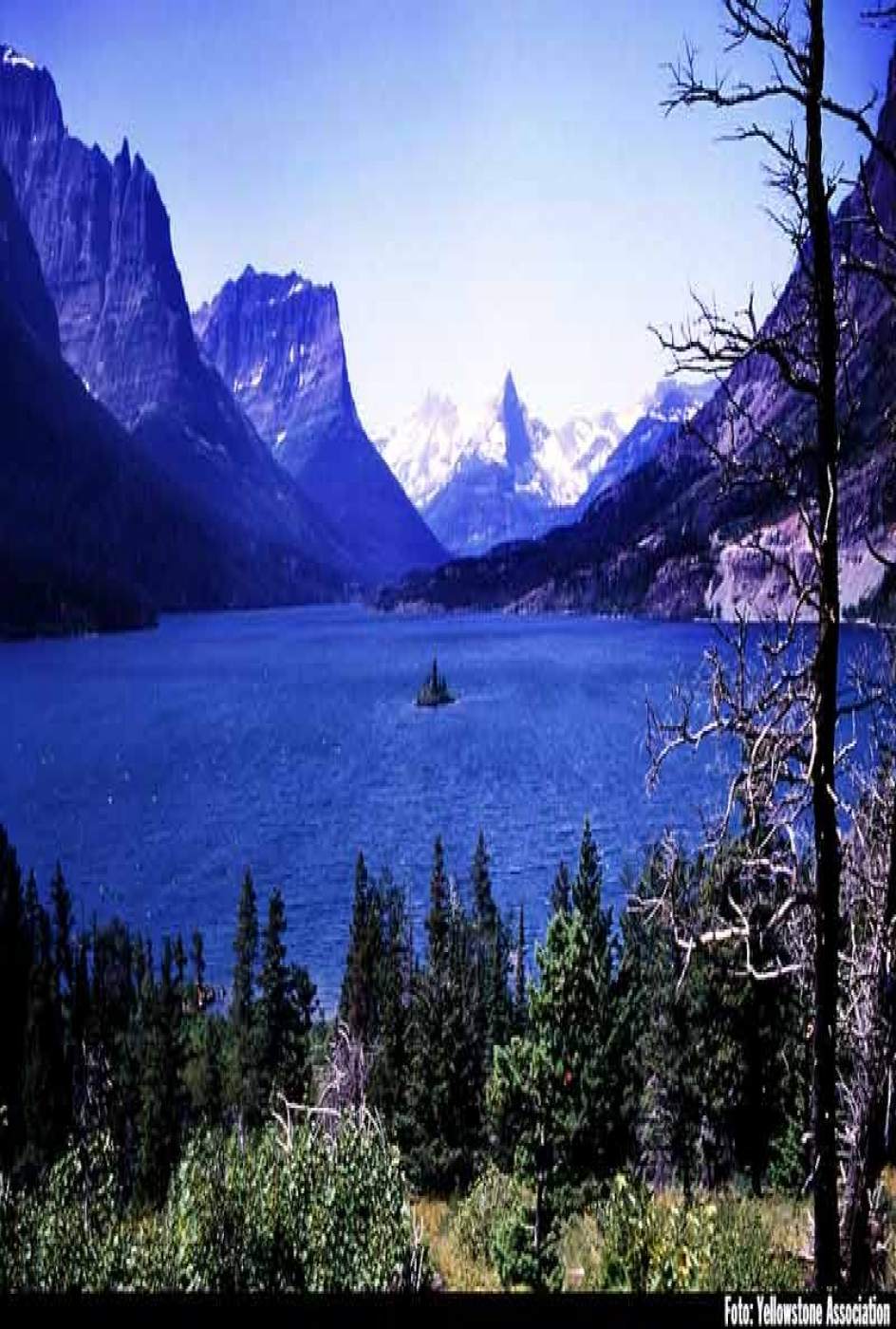 Comienza la temporada alta en la Reserva de Yellowstone 20minutos.es