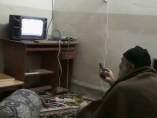 Viéndose en TV Viéndose en TV