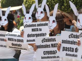 En favor de los animales
