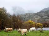 Sanabria Sanabria