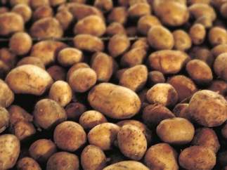Patatas