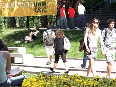 Universitarios