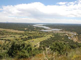 Monte de El Pardo