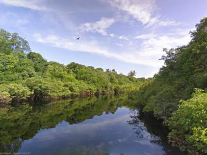 Amazonas