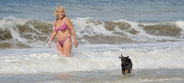 Perro en la playa Perro en la playa