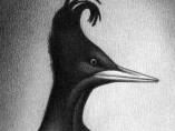 'Imperial Woodpecker'
