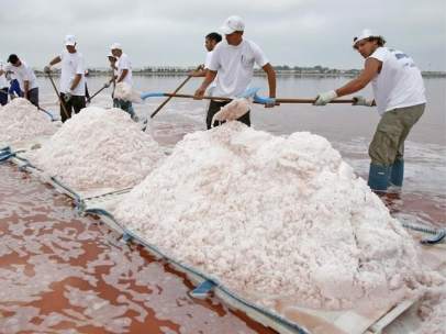 Trabajadores franceses