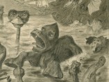 Grotesque Animal World, 1898 Grotesque Animal World, 1898