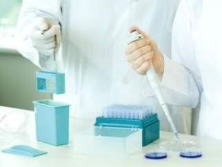 Investigadores