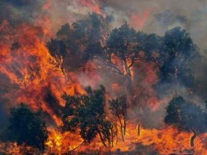 Incendio en Cazorla