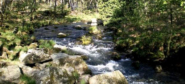 Garganta de Pedro Chate