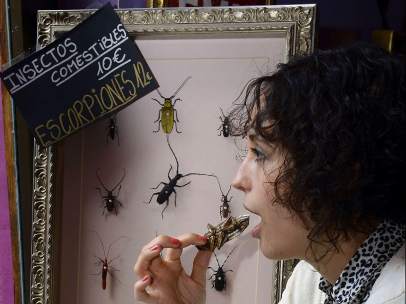 Tapas de insectos en Valladolid