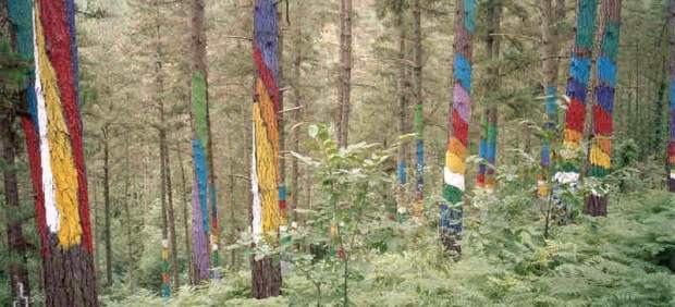 Bosque de Oma