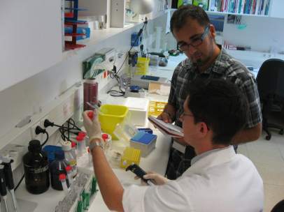 Investigadores.