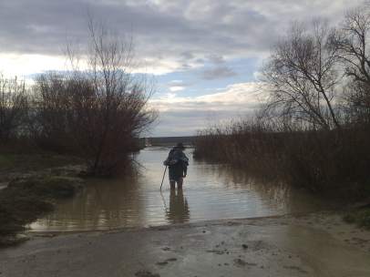 Camino de Santiago