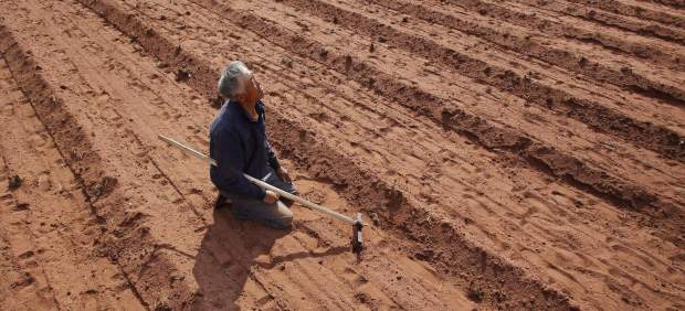 La ONU contará con cinco científicos españoles para sus informes de cambio climático La ONU contará con cinco científicos españoles para sus informes de cambio climático
