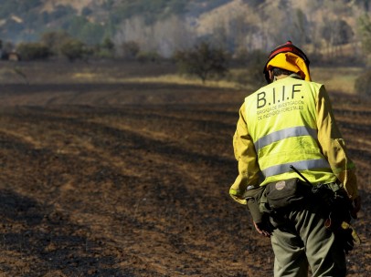 Incendio forestal