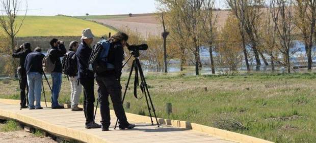 Observación de aves en las Tablas de Daimiel