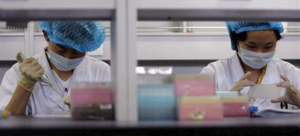 Investigación genética