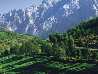 Picos de Europa