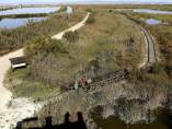 La Albufera de Valencia, en vías de recuperación La Albufera de Valencia, en vías de recuperación