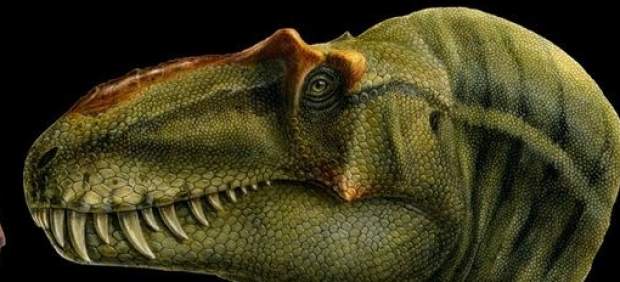 Imagen recreada del dinosaurio descubierto. Imagen recreada del dinosaurio descubierto.