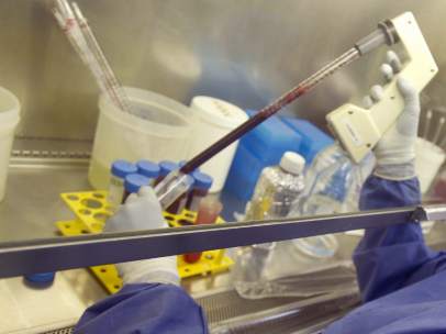 Trabajos en un laboratorio