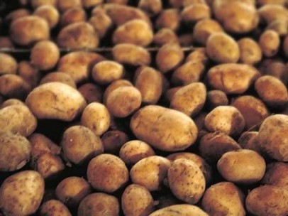 Patatas