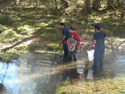 Investigadores en el río Júcar