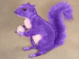 'The Purple Squirrel'