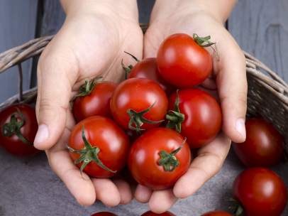 Tomates