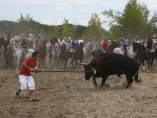 Toro de la Vega Toro de la Vega