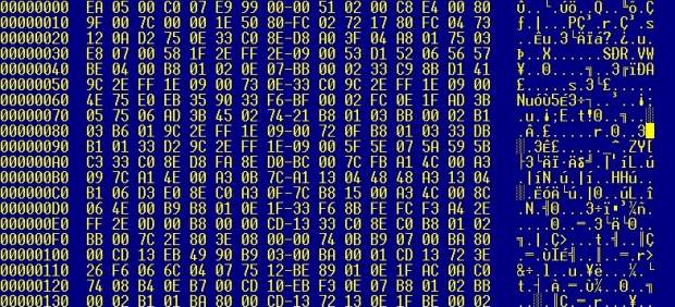Europol se une a Microsoft para combatir un virus informático