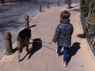 Paseo con el perro