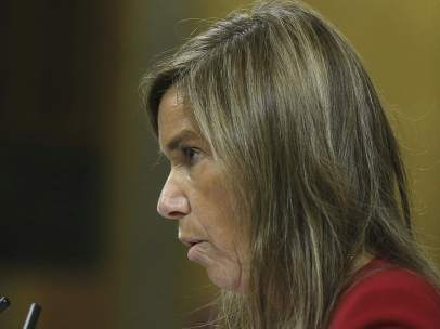 Ana Mato