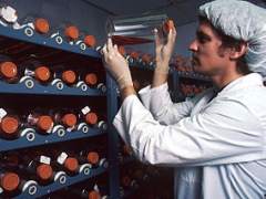 Logran anticuerpos humanos específicos en laboratorio