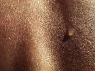 Sudor