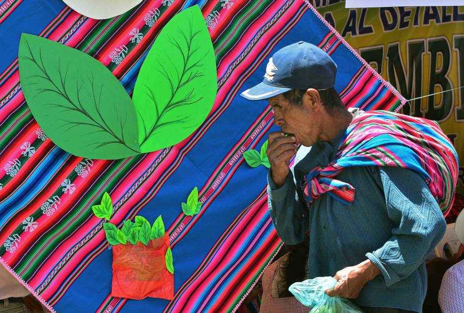 Bolivia celebra el mascado de coca para reivindicar que la planta no es