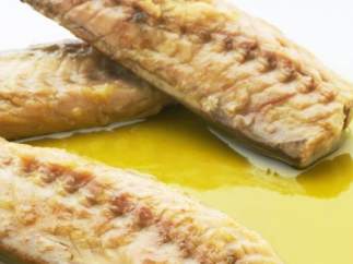 Caballa del sur en aceite de oliva